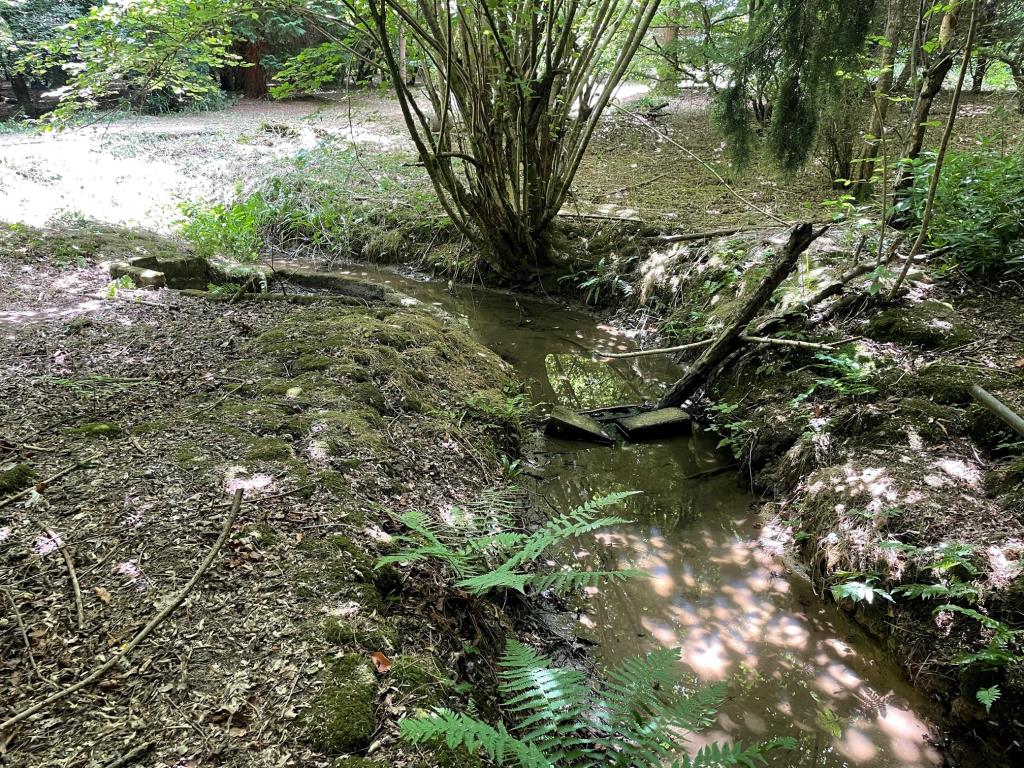 Lot: 109 - THREE ACRE FORMER NATURIST SITE WITH POTENTIAL -